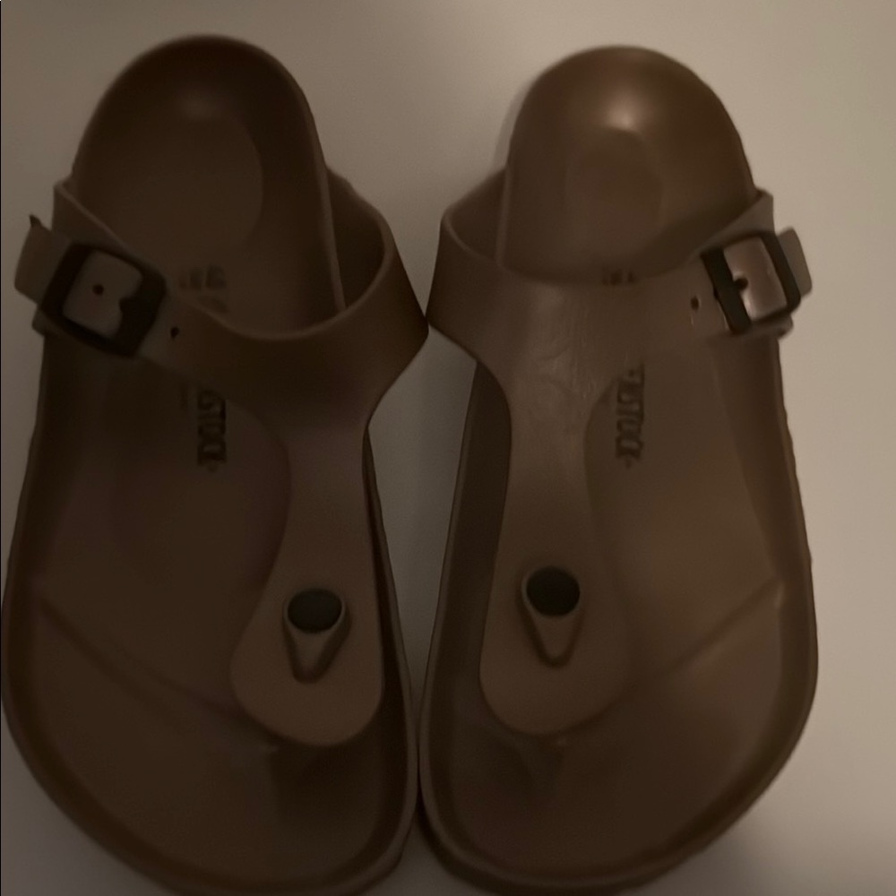 Brown Birkenstocks Sandals